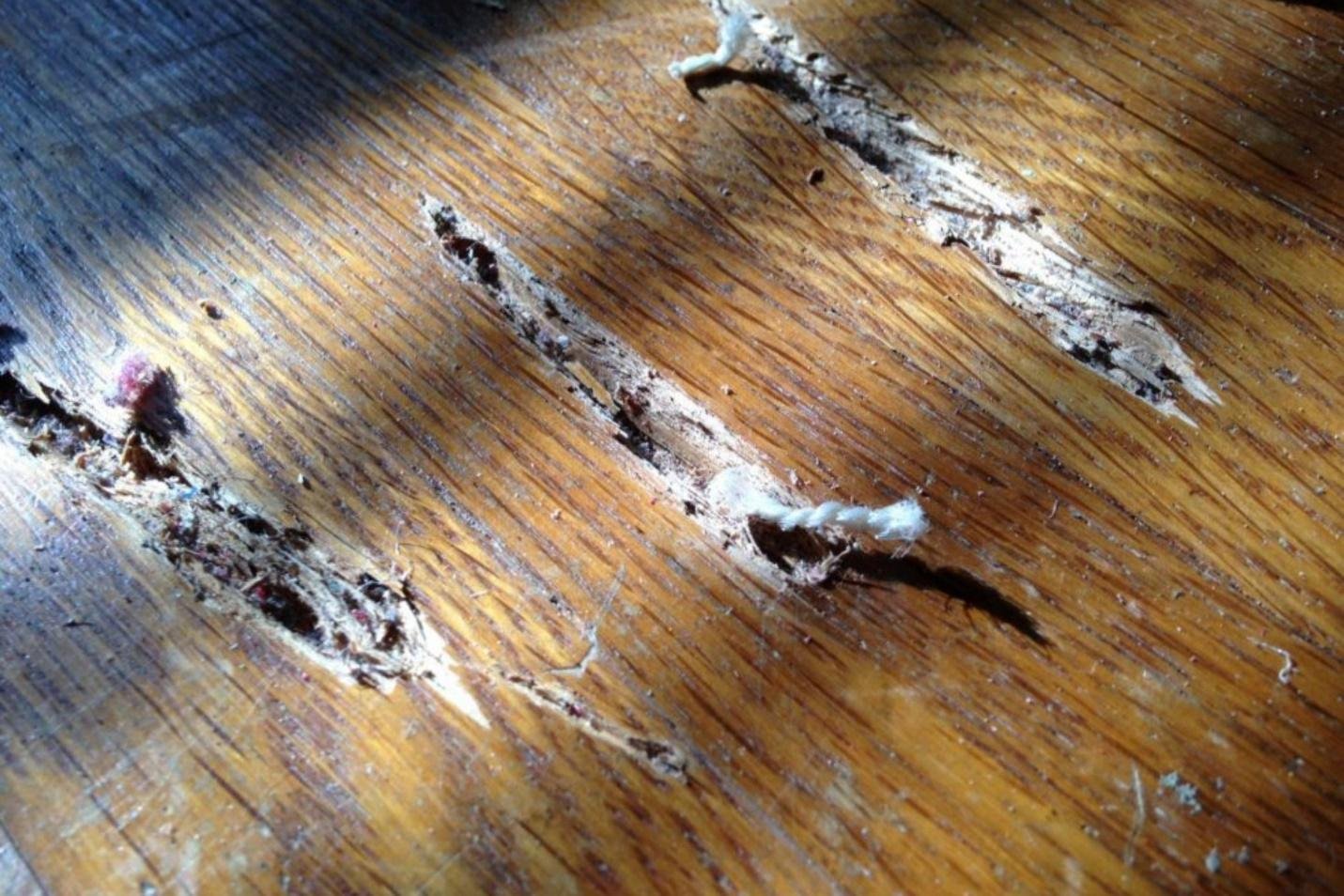 How To Fix Scratches on Hardwood Floors